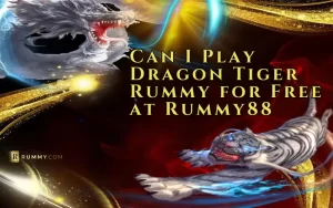 dragon tiger rummy