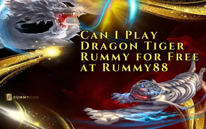 dragon tiger rummy